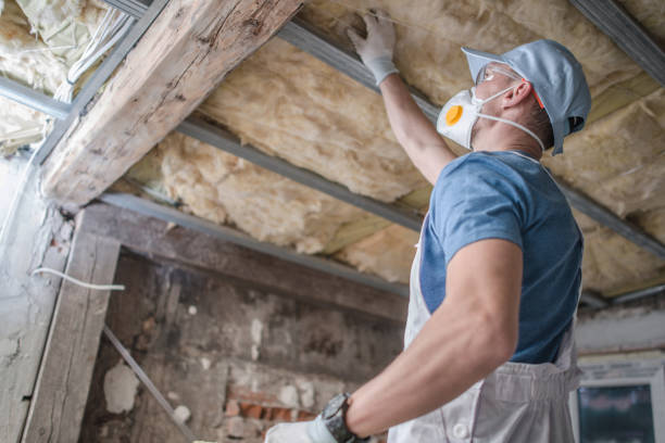 Best Energy-efficient Insulation  in Panorama Village, TX