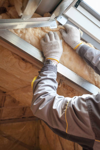 Best Soundproof Insulation Installation  in Panorama Village, TX