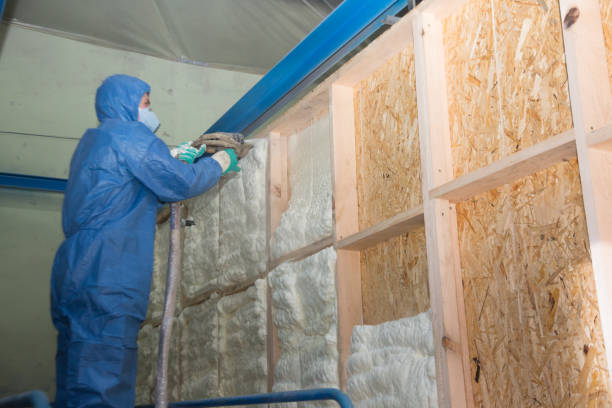 Professional Insulation Contractor in Panorama Village, TX