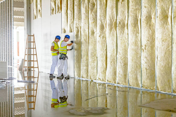 Best Garage Insulation Installation  in Panorama Village, TX